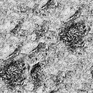 metin veya resim için alanı olan grunge arkaplanı