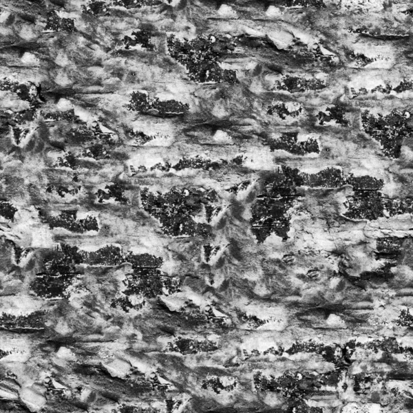 Czarno Biały Grunge Kamienne Ściany Tekstury — Zdjęcie stockowe