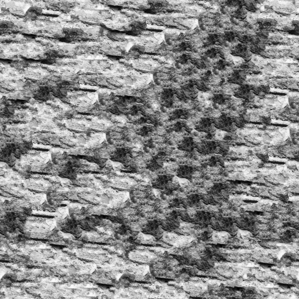 Zwarte Witte Grunge Stenen Muur Textuur — Stockfoto