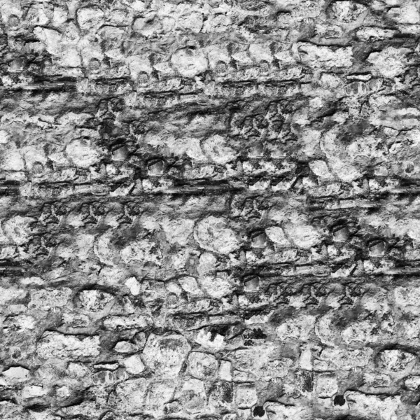 Textura Pared Piedra Grunge Blanco Negro — Foto de Stock