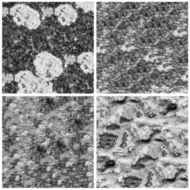 Siyah beyaz 4 grunge taş duvar arkaplan seti