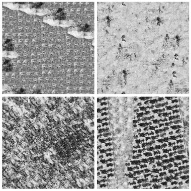 Siyah beyaz 4 grunge taş duvar arkaplan seti