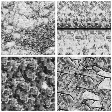 Siyah beyaz 4 grunge taş duvar arkaplan seti