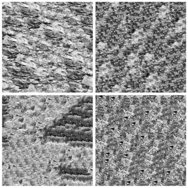 Siyah beyaz 4 grunge taş duvar arkaplan seti