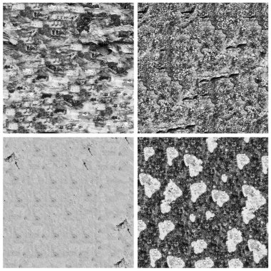 Siyah beyaz 4 grunge taş duvar arkaplan seti