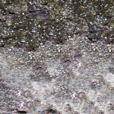 Grunge taş duvarı kaba arkaplan