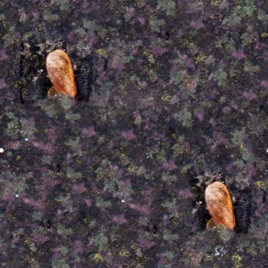 grunge doku arkaplanı, deseni kapat