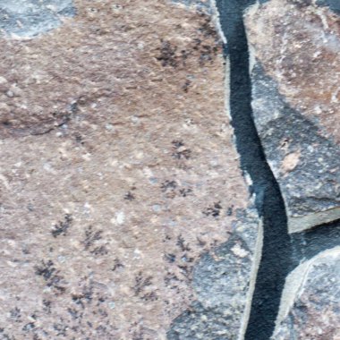 grunge doku arkaplanı, deseni kapat