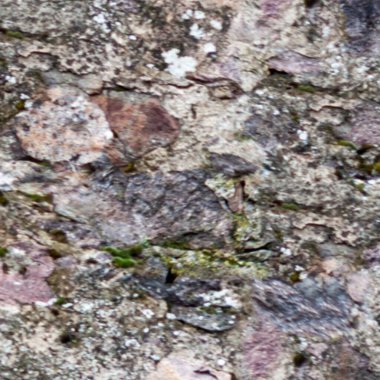 grunge doku arkaplanı, eski duvarı kapat 