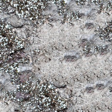 Eski beton duvarın soyut dokusu ve arkaplanı 