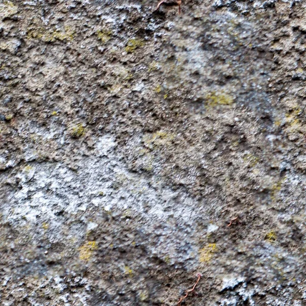 Fond Texture Grunge Gros Plan Vieux Mur — Photo