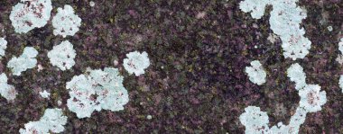 grunge doku arkaplanı, deseni kapat  