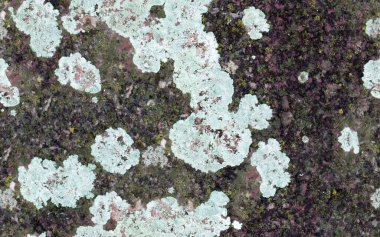 grunge doku arkaplanı, deseni kapat  