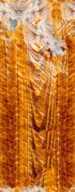 Ahşap arkaplan dokusunu kapat