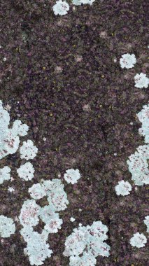 grunge doku arkaplanı, soyut desen, grunge duvar arkaplanı