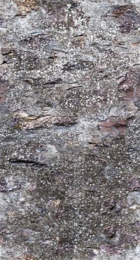 grunge doku arkaplanı, soyut doku ve eski duvar arkaplanı 