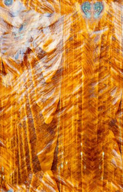 grunge doku arkaplanı, soyut doku ve eski duvar arkaplanı 