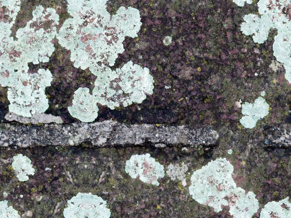 Grunge Konsistens Bakgrund Närbild Mönster — Stockfoto