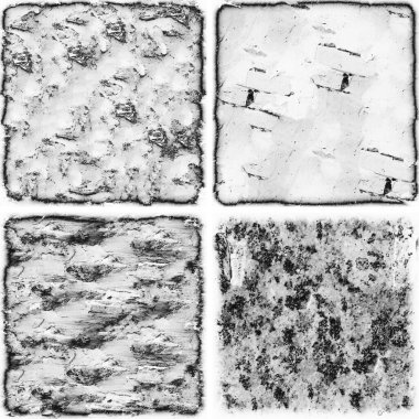 grunge doku arkaplanı, soyut doku seti ve eski beton duvarın arka planı 