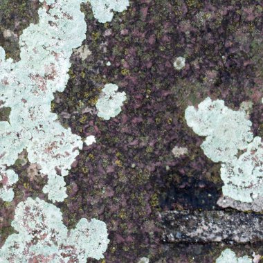 grunge doku arkaplanı, soyut doku ve eski duvar arkaplanı 