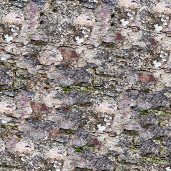 Fond Texture Grunge Texture Abstraite Fond Vieux Mur — Photo