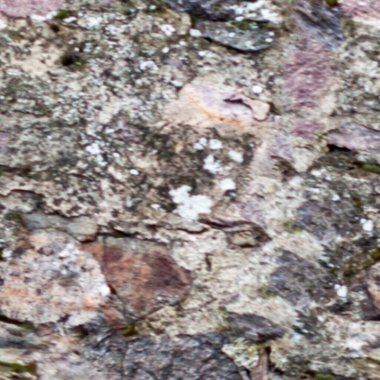 grunge doku arkaplanı, soyut doku ve eski duvar arkaplanı 