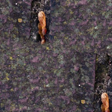 grunge doku arkaplanı, soyut doku ve eski duvar arkaplanı 