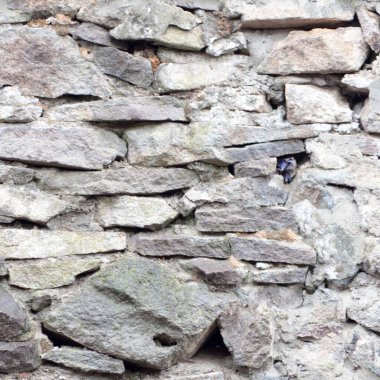 grunge doku arkaplanı, soyut desen, grunge duvar arkaplanı