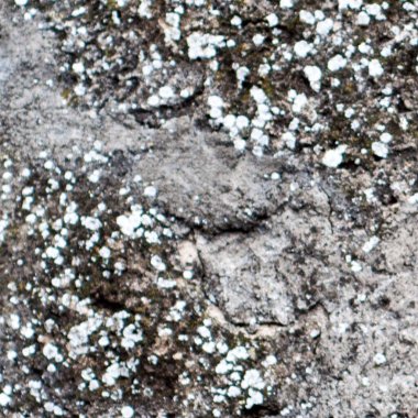 grunge doku arkaplanı, soyut desen, grunge duvar arkaplanı