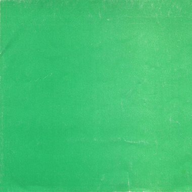 sisli iğne yapraklı ağaç içinde ağaç patika