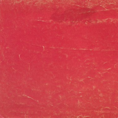 sisli iğne yapraklı ağaç içinde ağaç patika