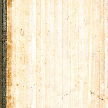 sisli iğne yapraklı ağaç içinde ağaç patika