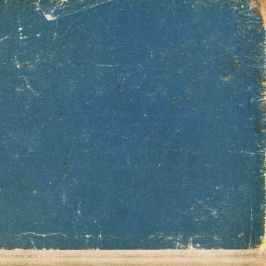 sisli iğne yapraklı ağaç içinde ağaç patika