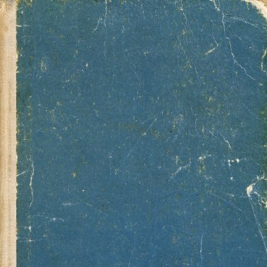 sisli iğne yapraklı ağaç içinde ağaç patika