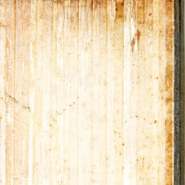 sisli iğne yapraklı ağaç içinde ağaç patika