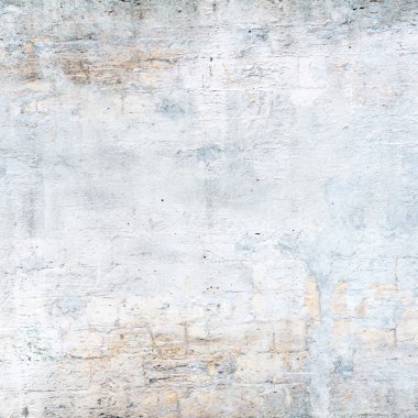 sisli iğne yapraklı ağaç içinde ağaç patika