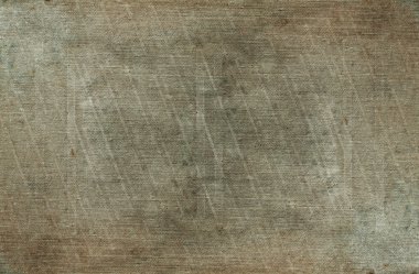 sisli iğne yapraklı ağaç içinde ağaç patika