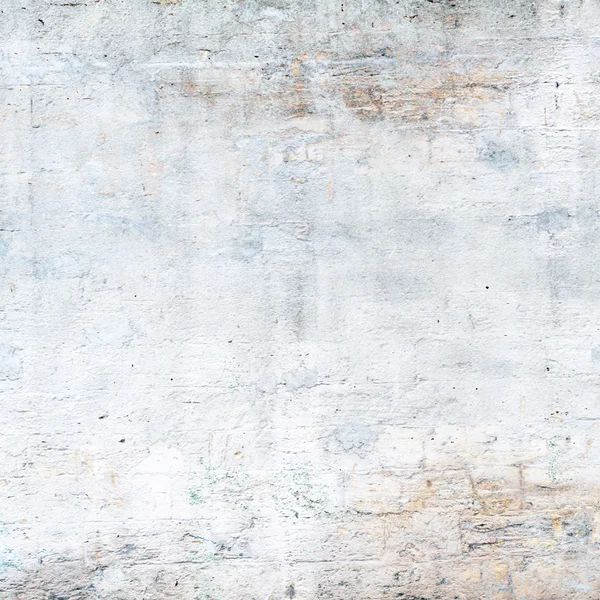 sisli iğne yapraklı ağaç içinde ağaç patika