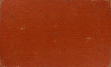 sisli iğne yapraklı ağaç içinde ağaç patika