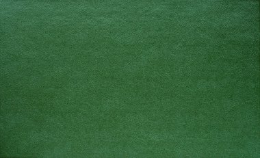 sisli iğne yapraklı ağaç içinde ağaç patika