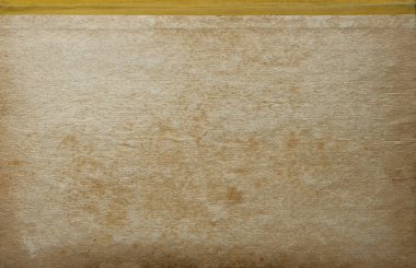 sisli iğne yapraklı ağaç içinde ağaç patika