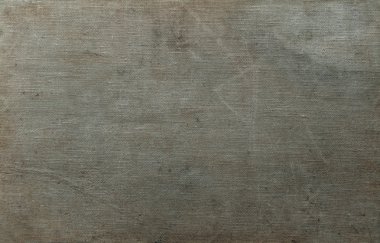 sisli iğne yapraklı ağaç içinde ağaç patika