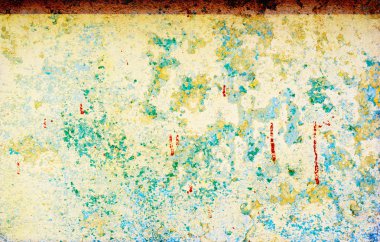 sisli iğne yapraklı ağaç içinde ağaç patika