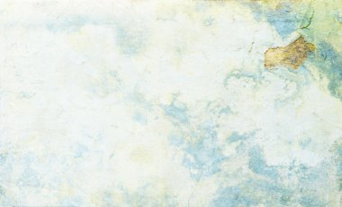 sisli iğne yapraklı ağaç içinde ağaç patika