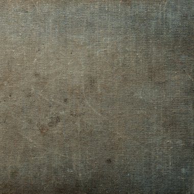 sisli iğne yapraklı ağaç içinde ağaç patika