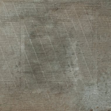 sisli iğne yapraklı ağaç içinde ağaç patika