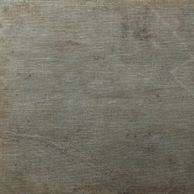 sisli iğne yapraklı ağaç içinde ağaç patika