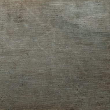 sisli iğne yapraklı ağaç içinde ağaç patika