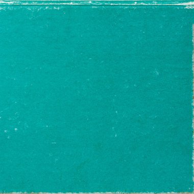 sisli iğne yapraklı ağaç içinde ağaç patika