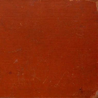 sisli iğne yapraklı ağaç içinde ağaç patika